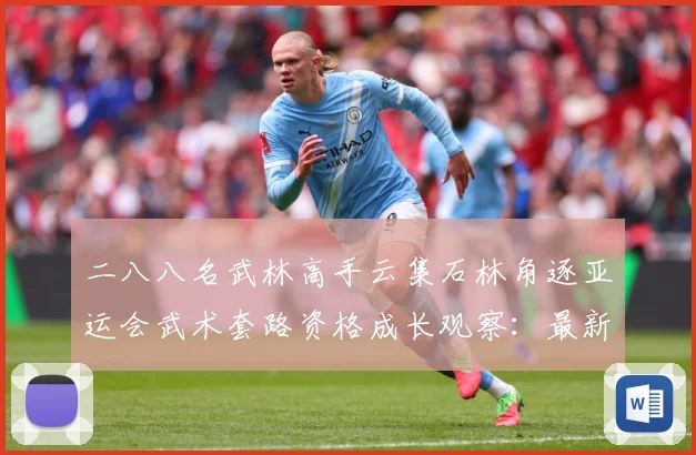 二八八名武林高手云集石林角逐亚运会武术套路资格成长观察：最新赛事动态与深度分析
