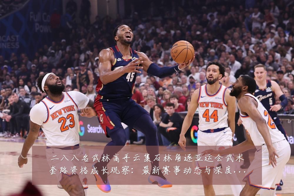 二八八名武林高手云集石林角逐亚运会武术套路资格成长观察：最新赛事动态与深度分析